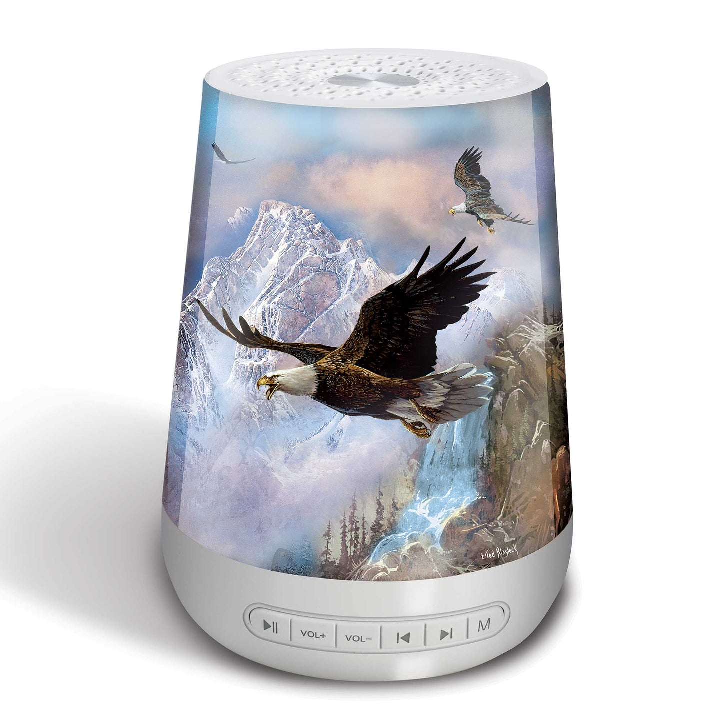 Endless Skies Eagle Sleep Machine Bird Design Bradford Exchange