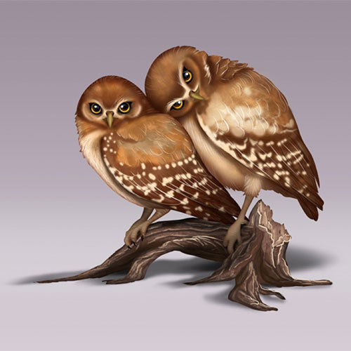 Natures Precious Owls Laura Crawford Williams Owls Figurine Bradford Exchange