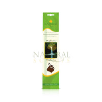 Purification Incense Sticks Natural Scents® - Pack of 20 - NS 51699